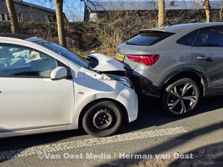 photo_2025-03-19_10-46-55