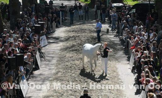 DJI_0542