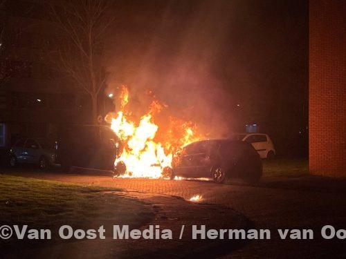 photo_2025-04-11_23-18-07