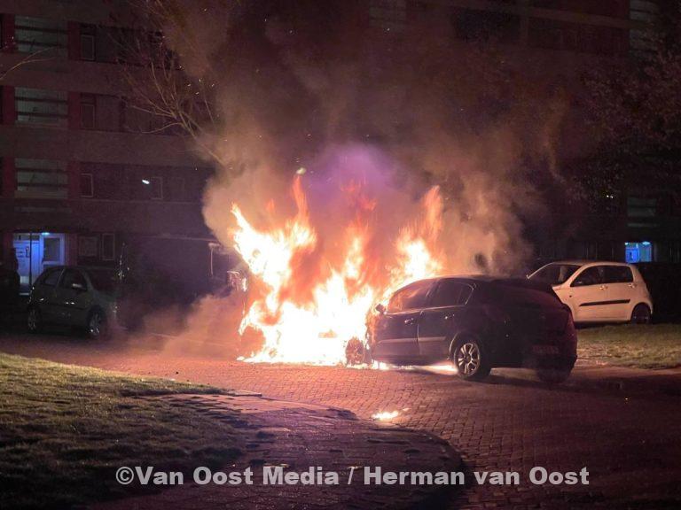 photo_2025-04-11_23-18-17