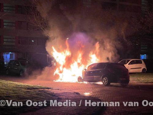 photo_2025-04-11_23-18-20