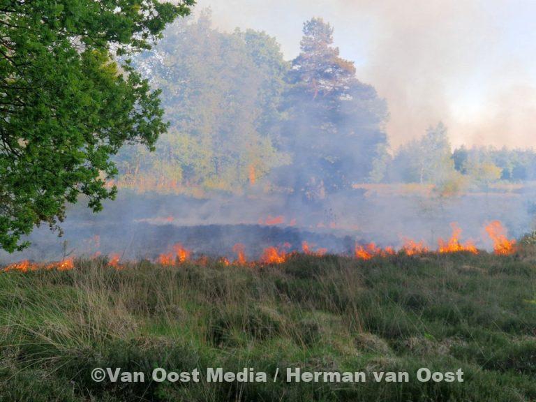 photo_2025-05-19_20-28-41 (2)