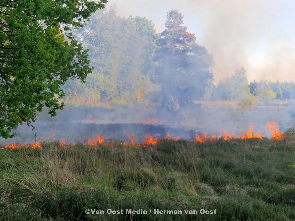 photo_2025-05-19_20-28-41 (2)