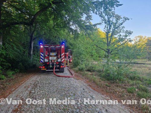 photo_2025-05-19_21-07-23