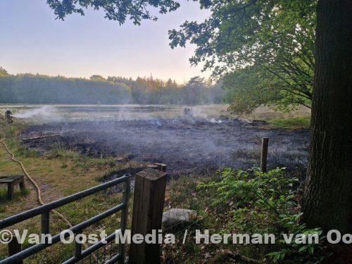 photo_2025-05-19_21-07-28