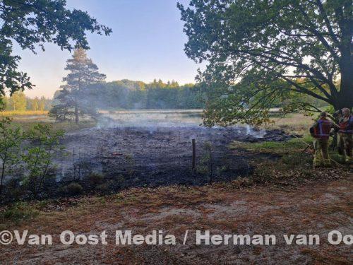 photo_2025-05-19_21-07-29