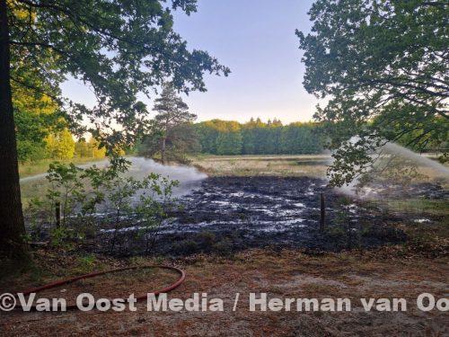 photo_2025-05-19_23-32-21