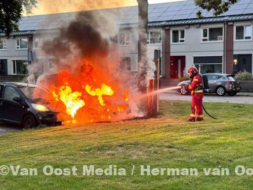 photo_2025-06-19_05-08-13