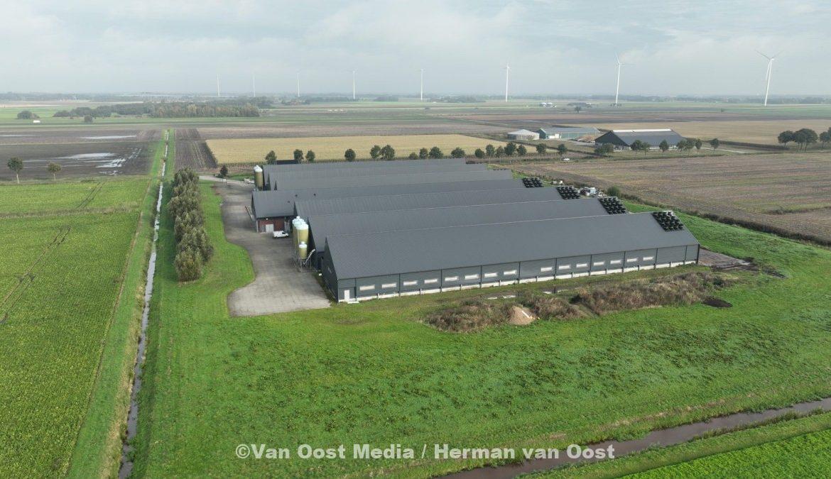 Vogelgriep uitgebroken in Gasselternijveenschemond (video) – The photo only has value when it is tak